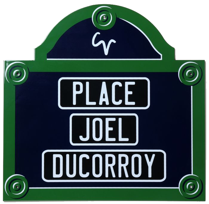 Joël Ducorroy - Immatriculée conception